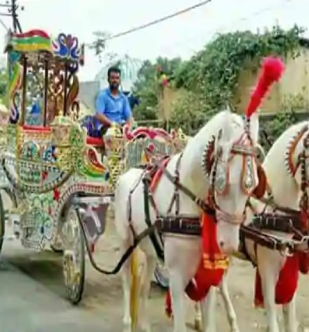 HORSE DRAWN VEHICLE